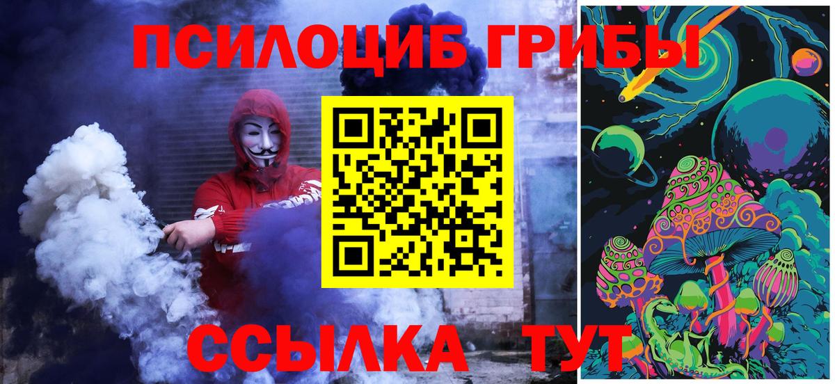 Галлюциногенные грибы MAGIC MUSHROOMS  Вход с VPN  Ессентуки 